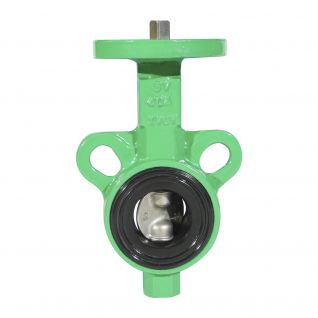 DN32 CF8M disc wafer and lugged butterfly valve cast iron 