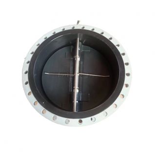Halar coating disc flange end spring double plate check valve 