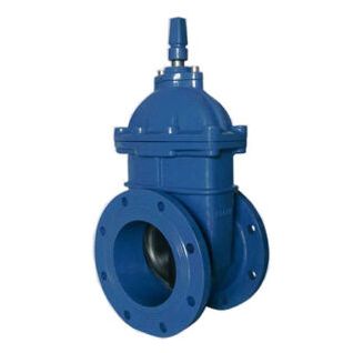 PN16 resilient seated  wedge gate valve with cap top 