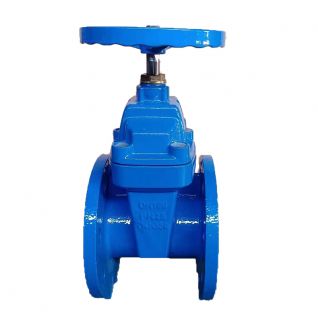 DN100 PN25 resilient seated wedge gate valve 