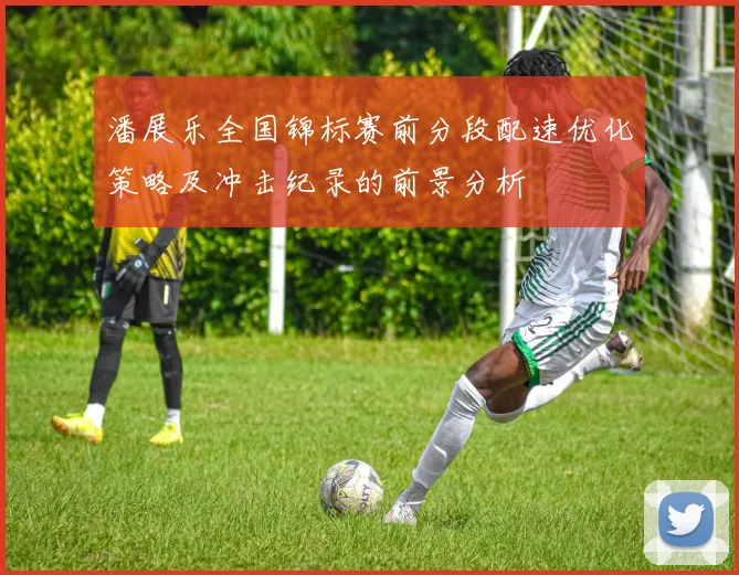 潘展乐全国锦标赛前分段配速优化策略及冲击纪录的前景分析